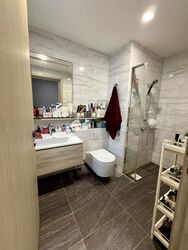 The Alps Residences (D18), Condominium #621726171